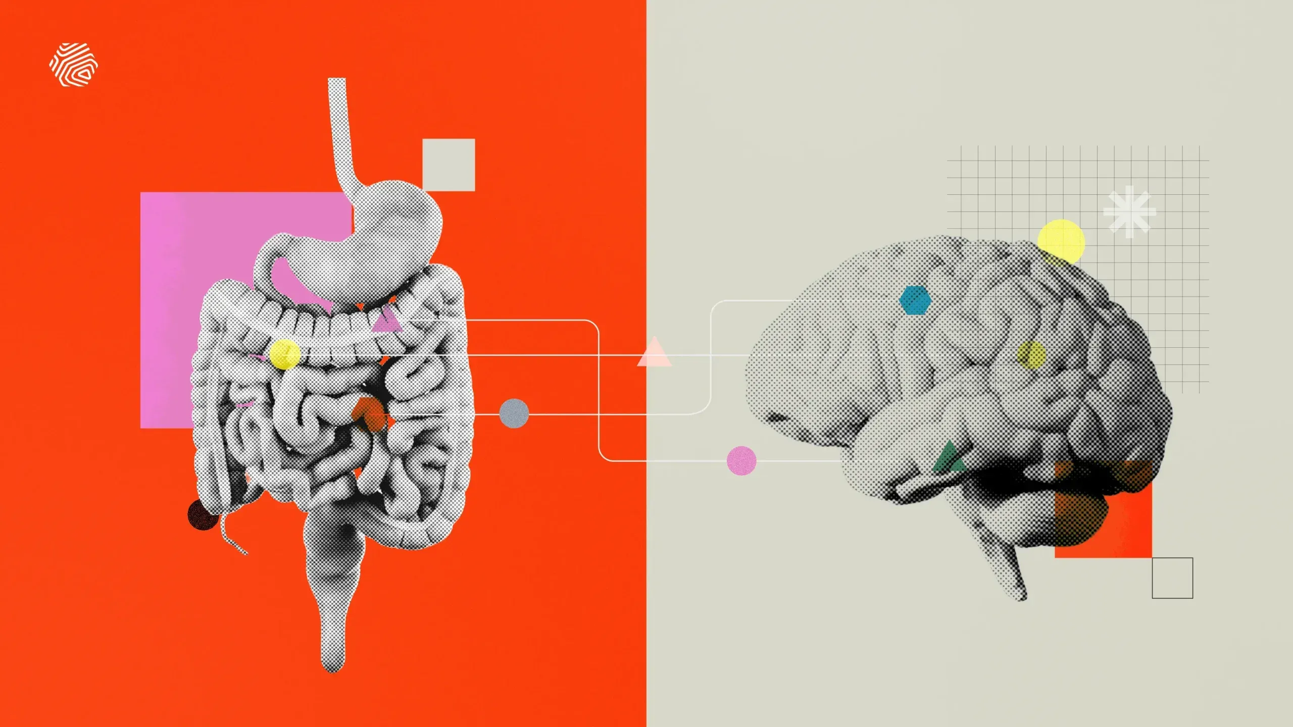 How Your Gut Microbiome Influences Mental Health, Mood, and Energy