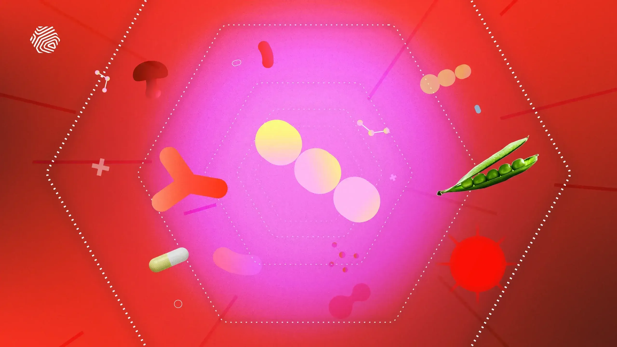 Probiotics, Prebiotics & Postbiotics: What are the Differences?