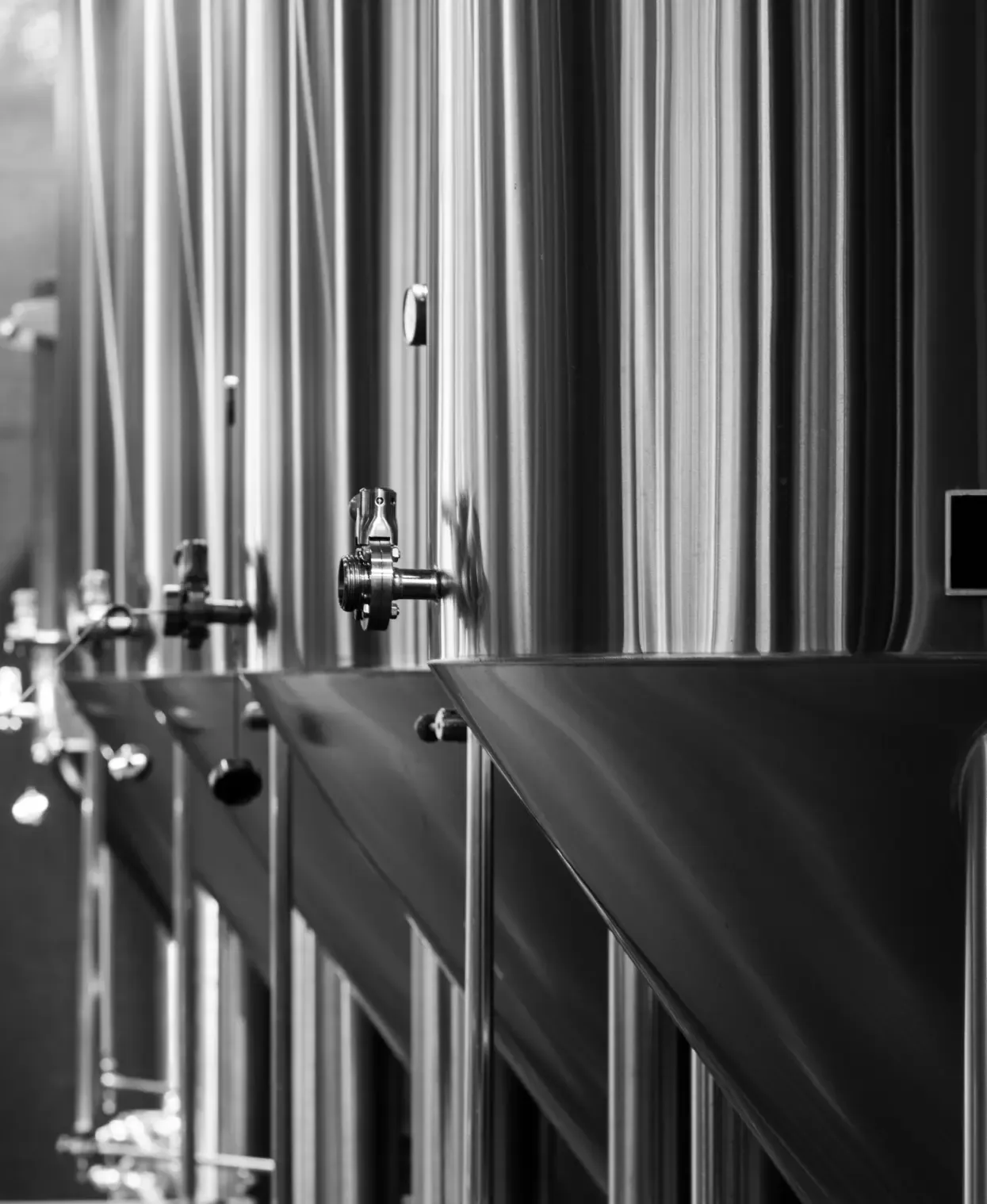 Precision fermentation technology